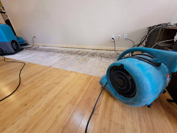 Professional Water Damage Repair technician working in Wyoming, OH